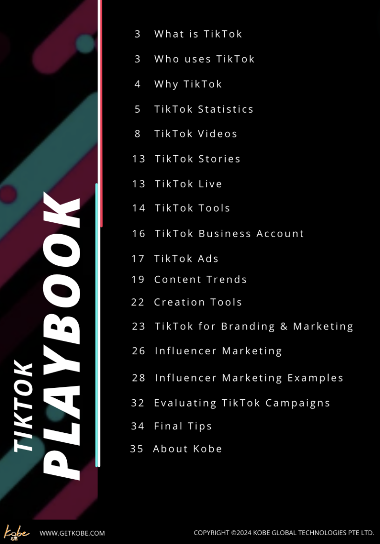 TikTok Playbook 2024